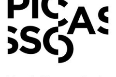 Picasso Museum Paris Branding